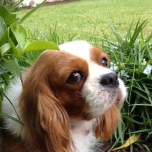 Meet your Posher, Sue